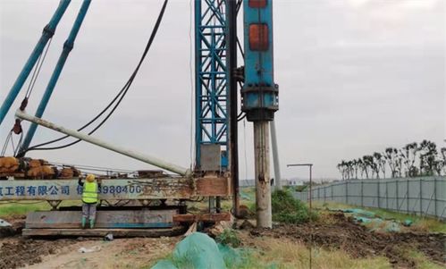 玉湖冷鏈深度融入四川國際供應(yīng)鏈建設(shè)，推動(dòng)施工工程高效落地