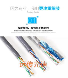 遠傳光速國標過測網線 超五類品質，300米無氧銅芯的可靠之選